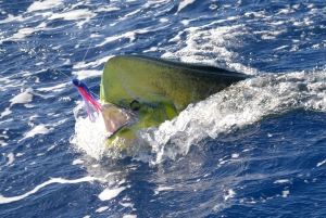 Maurício: Viagem de pesca esportiva saindo de Grand Baie