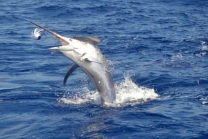 Maurício: Viagem de pesca esportiva saindo de Grand Baie