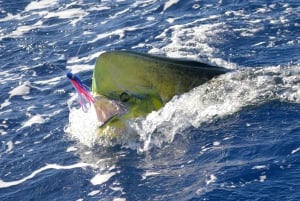 Maurice : sortie de pêche au gros depuis Grand Baie