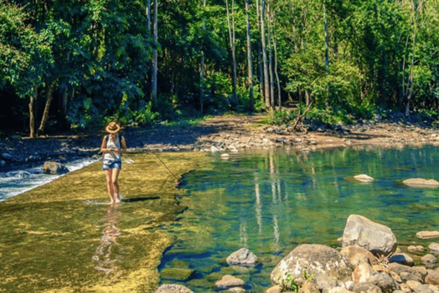 Mauritius: Black River Gorges Guided Hike with Hotel Pickup