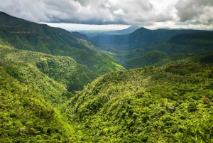 Mauritius: Black River Gorges Guided Hike with Hotel Pickup