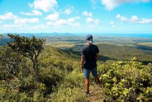 Mauritius: Black River Gorges Guided Hike