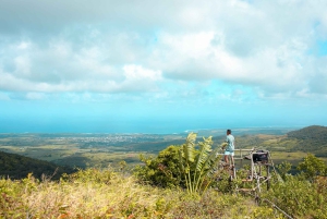 Mauritius: Black River Gorges Guided Hike