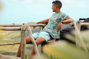 Mauritius: Black River Gorges Guided Hike