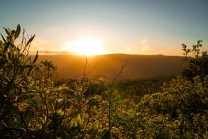 Mauritius: escursione guidata alle Gole del Fiume Nero