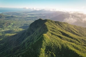 Mauritius: escursione guidata alle Gole del Fiume Nero