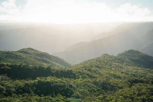 Mauritius: escursione guidata alle Gole del Fiume Nero