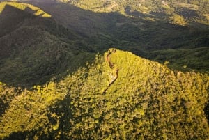 Mauritius: escursione guidata alle Gole del Fiume Nero