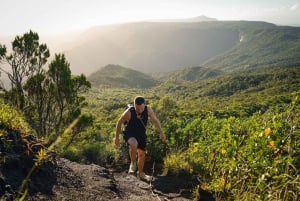 Mauritius: escursione guidata alle Gole del Fiume Nero