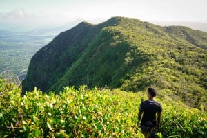 Mauritius: escursione guidata alle Gole del Fiume Nero