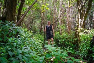 Mauritius: escursione guidata alle Gole del Fiume Nero