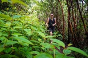 Mauritius: escursione guidata alle Gole del Fiume Nero