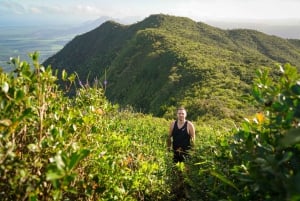 Mauritius: escursione guidata alle Gole del Fiume Nero