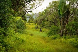 Mauritius: escursione guidata alle Gole del Fiume Nero
