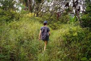 Mauritius: escursione guidata alle Gole del Fiume Nero