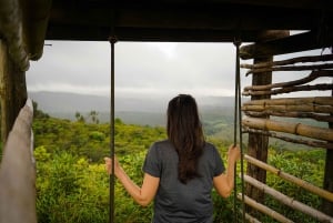 Mauritius: escursione guidata alle Gole del Fiume Nero