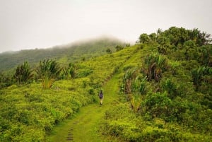 Mauritius: escursione guidata alle Gole del Fiume Nero