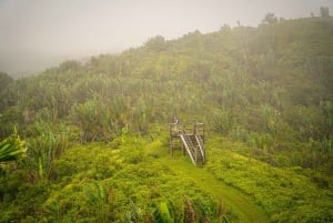 Mauritius: escursione guidata alle Gole del Fiume Nero