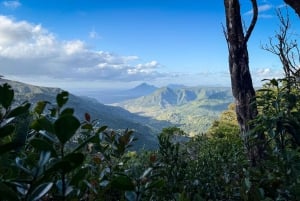 Маврикий: поход с гидом по ущельям Черной реки