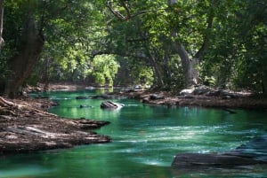 Mauritius: Black River Gorges National Park 3-Stunden-Wanderung