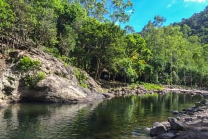 Mauritius: Black River Gorges National Park 3-Stunden-Wanderung