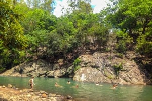 Mauritius: Black River Gorges National Park 3-Stunden-Wanderung