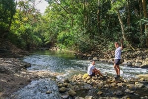 Mauritius: Black River Gorges National Park 3-Stunden-Wanderung