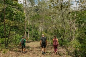 Mauritius: Black River Gorges National Park 3-Hour Hike