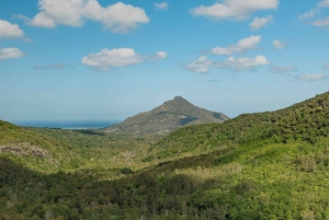 Mauritius: Black River Gorges National Park 3-Hour Hike