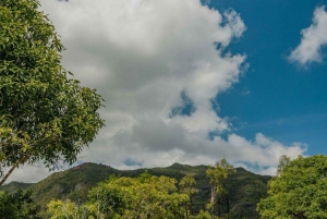 Mauritius: Black River Gorges National Park 3-Hour Hike