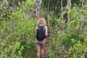Mauritius: Wycieczka piesza z przewodnikiem na szczyt Black River Peak z lokalnym przewodnikiem