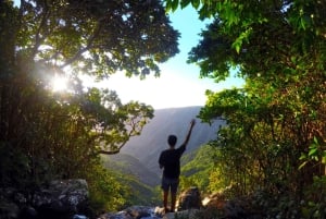 Mauritius: Wycieczka piesza z przewodnikiem na szczyt Black River Peak z lokalnym przewodnikiem