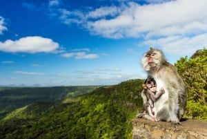 Mauritius: wandeltocht met gids naar Black River Peak