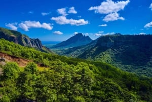 Mauritius: wandeltocht met gids naar Black River Peak