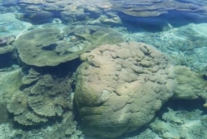 Maurícia: Passeio ecológico na Baía Azul e mergulho com tubo de respiração para proteção dos corais