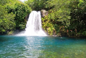 Mauritius: snorkeling nel Blue Bay Marine Park e Ile aux 2 Cocos