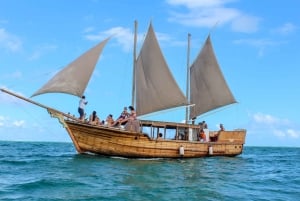 Ile Maurice : Excursion en bateau à l'Ile aux Cerfs avec déjeuner/glissade d'eau