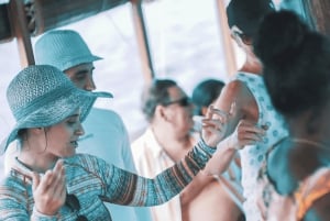 Ile Maurice : Excursion en bateau à l'Ile aux Cerfs avec déjeuner/glissade d'eau