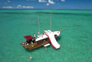 Ile Maurice : Excursion en bateau à l'Ile aux Cerfs avec déjeuner/glissade d'eau