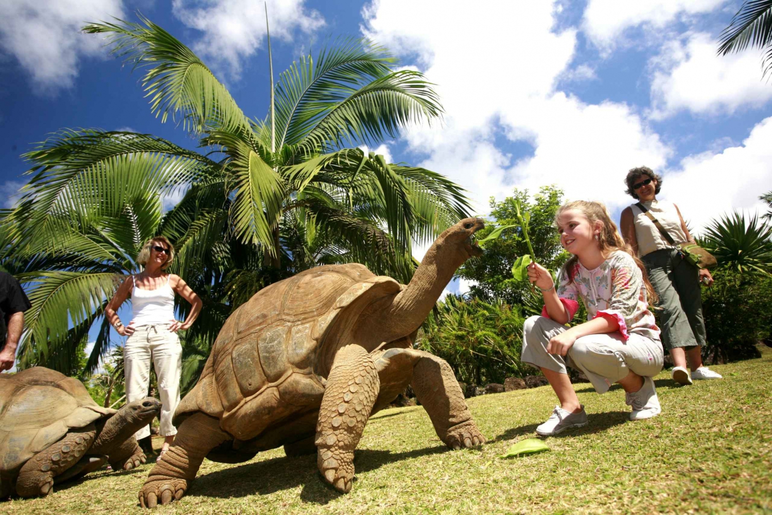 Mauritius: Bois Cheri, Saint Aubin & La Vanille Nature Park