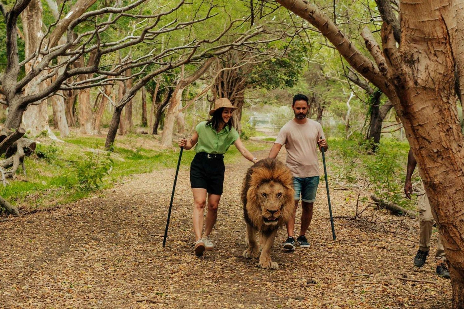 Maurícia: Parque natural de Casela e excursão à praia de Flic en Flac