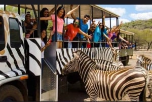 Mauritius: Casela-Naturpark & Flic-en-Flac-Strand