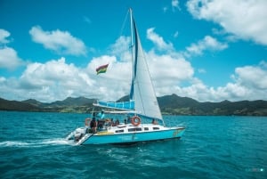 Mauritius: Catamaran Cruise from Bluebay to Ile aux Cerfs