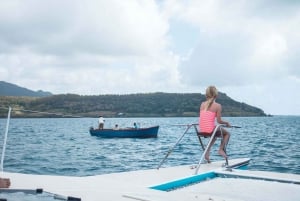 Mauritius: Katamarancruise til Ile aux Cerfs med BBQ-lunsj