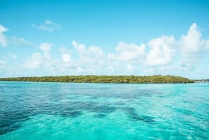 Mauritius: Katamarancruise til Ile aux Cerfs med BBQ-lunsj