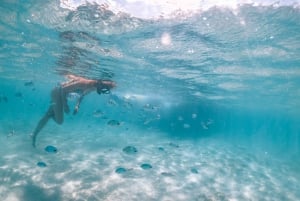 Mauritius: Katamarancruise til Ile aux Cerfs med BBQ-lunsj