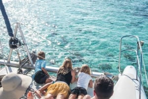 Mauritius: Katamarancruise til Ile aux Cerfs med BBQ-lunsj