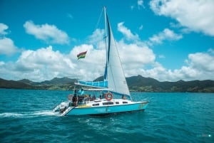 Mauritius: Katamarancruise til Ile aux Cerfs med BBQ-lunsj