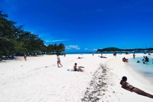 Mauritius: Katamaransejltur til Ile Aux Cerfs inklusive afhentning