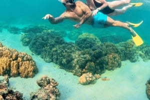 Mauritius: Katamaransejltur til Ile Aux Cerfs inklusive afhentning